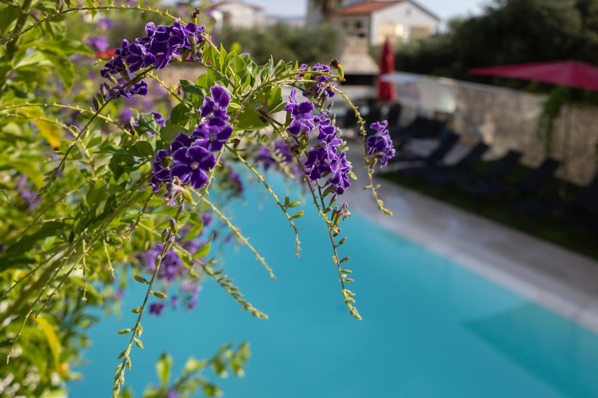 Villa Aqua Žaborić Exteriér fotografie